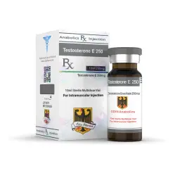 Testosterone E 250